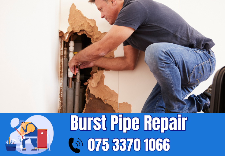 burst pipe repair Crayford