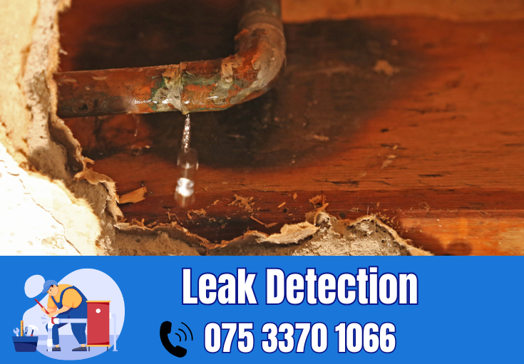 leak detection Crayford