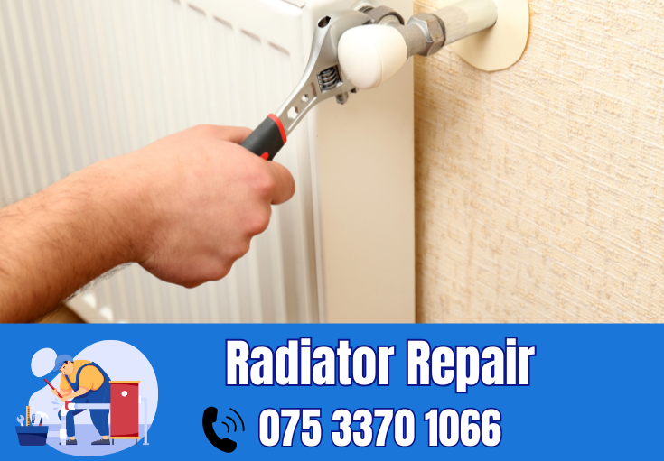 radiator repair and installation Crayford