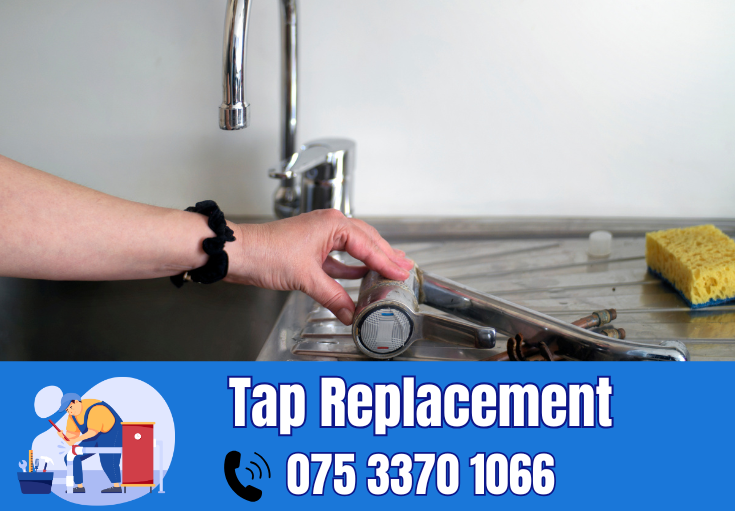 tap repair and replacement Crayford